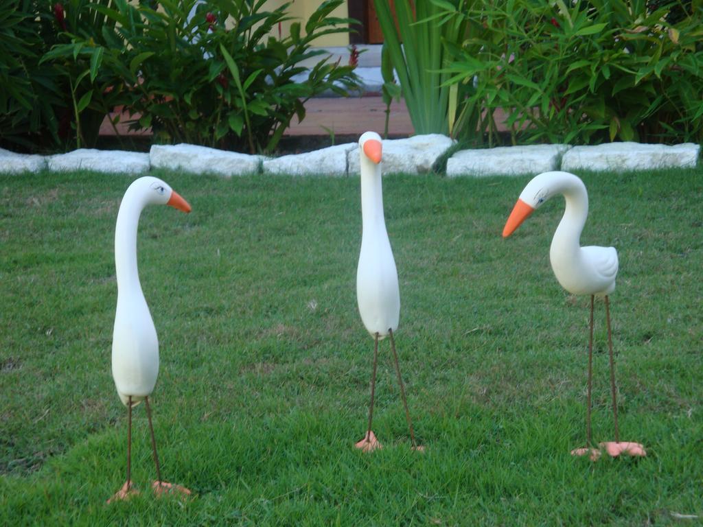 Hotel Porto Garden Porto Seguro Esterno foto